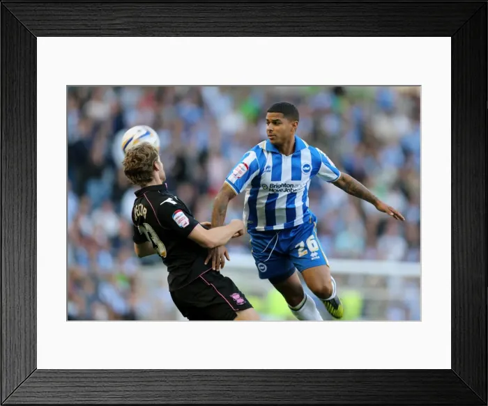Framed Print : Brighton & Hove Albion vs. Birmingham City (2012-13): Home Game Highlights Framed Print : Brighton & Hove Albion vs. Birmingham City (2012-13): Home Game Highlights
