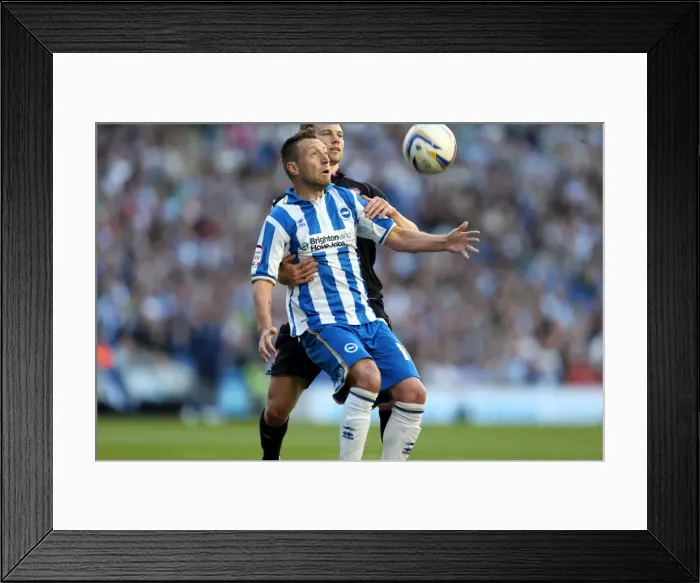 Framed Print : Stephen Dobbie in Action for Brighton & Hove Albion against Birmingham City, Npower Championship, Amex Stadium, September 29, 2012 Framed Print : Stephen Dobbie in Action for Brighton & Hove Albion against Birmingham City, Npower Championship, Amex Stadium, September 29, 2012