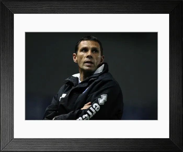 Framed Print : Gus Poyet Guides Brighton & Hove Albion Against Ipswich Town, October 2012 Framed Print : Gus Poyet Guides Brighton & Hove Albion Against Ipswich Town, October 2012