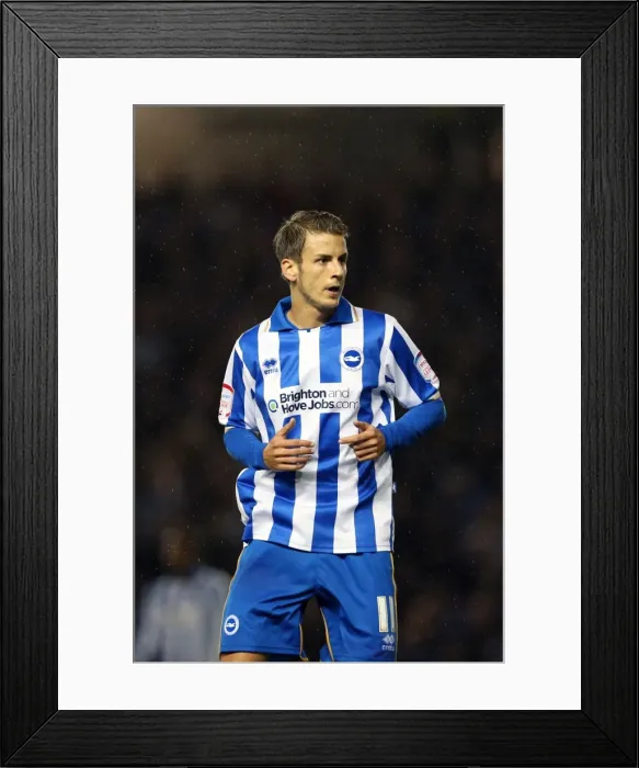 Framed Print : Brighton and Hove Albion's Star Midfielder Andrea Orlandi Framed Print : Brighton and Hove Albion's Star Midfielder Andrea Orlandi