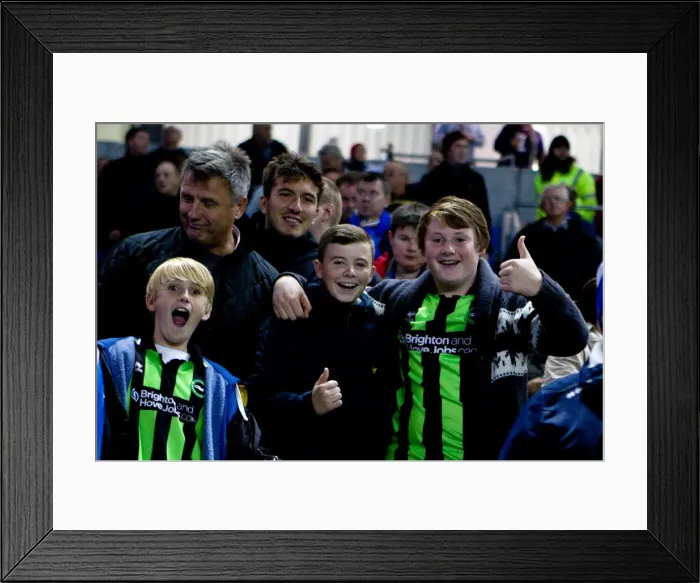 Framed Print : Brighton and Hove Albion: The Electric Amex Stadium Crowd (2012-2013) Framed Print : Brighton and Hove Albion: The Electric Amex Stadium Crowd (2012-2013)