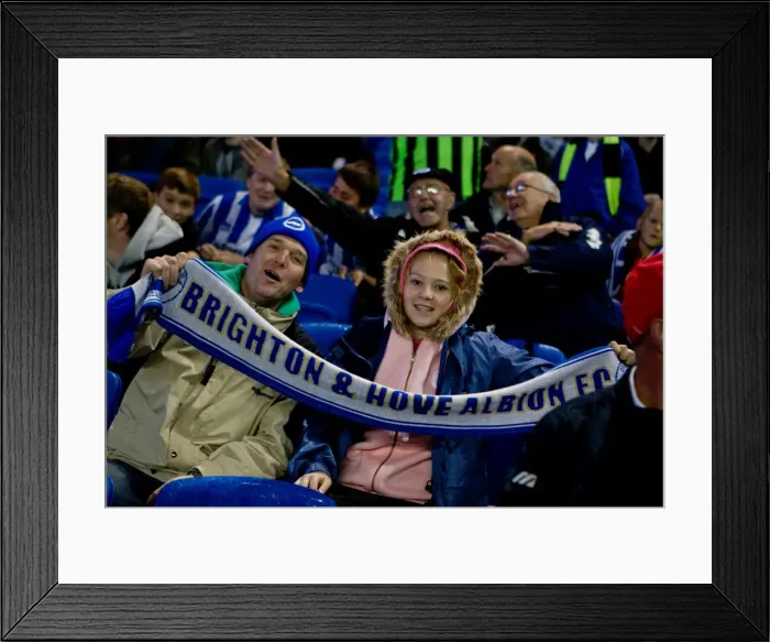 Framed Print : Brighton & Hove Albion FC: Electric Atmosphere at the Amex Stadium (2012-2013) Framed Print : Brighton & Hove Albion FC: Electric Atmosphere at the Amex Stadium (2012-2013)