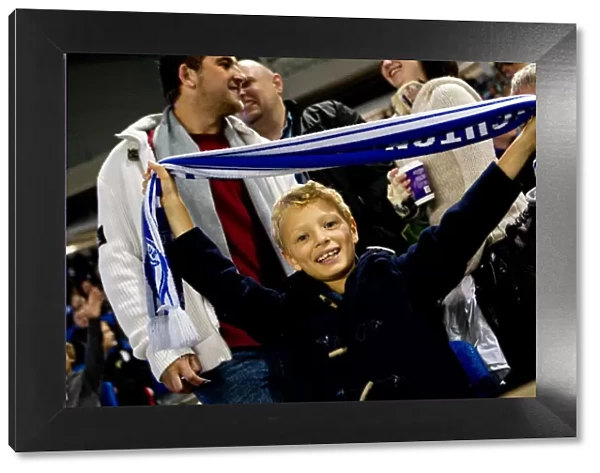 Brighton and Hove Albion: Electrifying Fan Experience at The Amex Stadium (2012-2013)