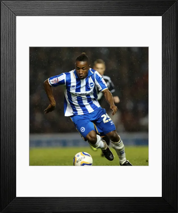 Framed Print : Brighton & Hove Albion vs Ipswich Town: 2012-13 Home Game