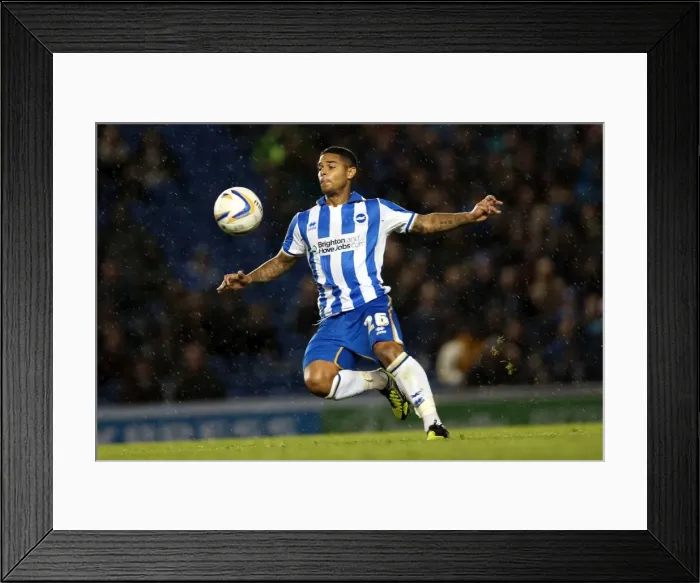 Framed Print : Brighton & Hove Albion's Liam Bridcutt: A Focused and Determined Force on the Football Field