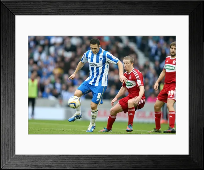 Framed Print : Brighton Middlesbrough 121020 Framed Print : Brighton Middlesbrough 121020