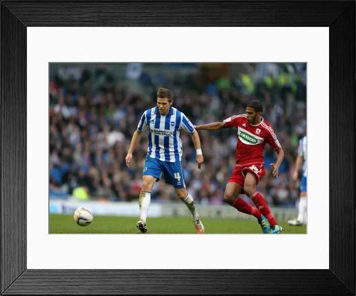 Framed Print : Dean Hammond in Action: Brighton & Hove Albion vs. Middlesbrough, October 20, 2012 Framed Print : Dean Hammond in Action: Brighton & Hove Albion vs. Middlesbrough, October 20, 2012