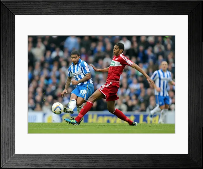 Framed Print : Liam Bridcutt's Focus: Brighton & Hove Albion vs Middlesbrough, Npower Championship (October 20, 2012) Framed Print : Liam Bridcutt's Focus: Brighton & Hove Albion vs Middlesbrough, Npower Championship (October 20, 2012)