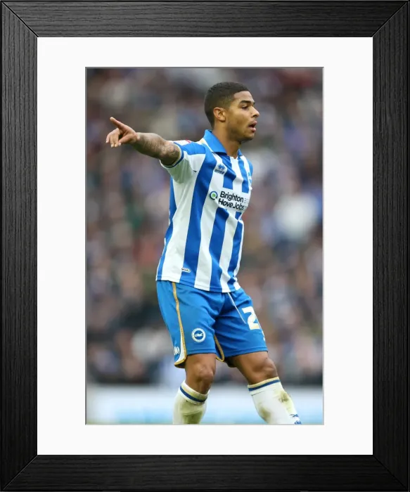 Framed Print : Liam Bridcutt in Action for Brighton & Hove Albion vs Middlesbrough, Npower Championship, Amex Stadium (October 2012) Framed Print : Liam Bridcutt in Action for Brighton & Hove Albion vs Middlesbrough, Npower Championship, Amex Stadium (October 2012)
