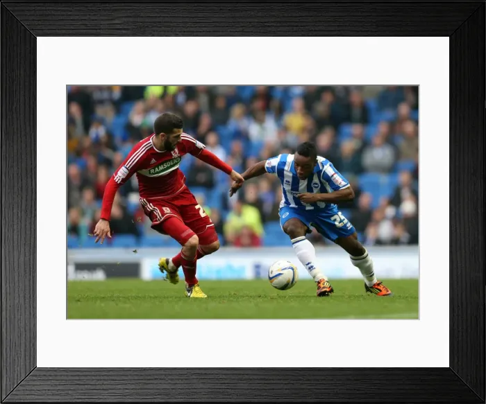 Framed Print : Brighton & Hove Albion's Kazenga LuaLua Thrills Crowd with Forward Run vs Middlesbrough (12-10-2012) Framed Print : Brighton & Hove Albion's Kazenga LuaLua Thrills Crowd with Forward Run vs Middlesbrough (12-10-2012)