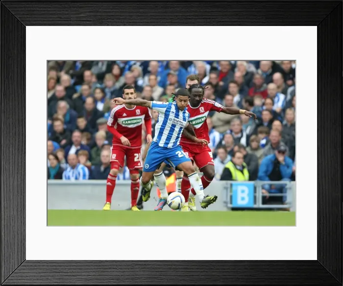 Framed Print : Intense Moment: Liam Bridcutt in Action for Brighton & Hove Albion vs Middlesbrough, October 20, 2012 Framed Print : Intense Moment: Liam Bridcutt in Action for Brighton & Hove Albion vs Middlesbrough, October 20, 2012