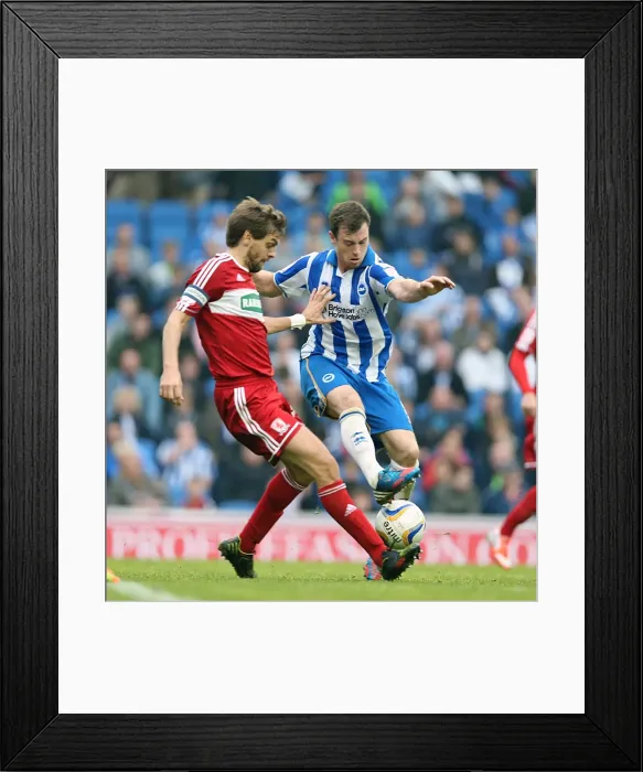 Framed Print : Brighton & Hove Albion vs. Middlesbrough: 2012-13 Home Game Framed Print : Brighton & Hove Albion vs. Middlesbrough: 2012-13 Home Game