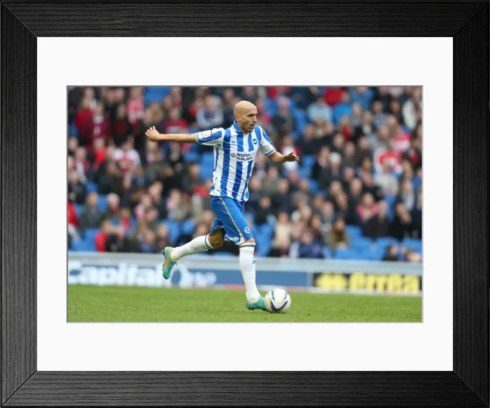 Framed Print : Brighton & Hove Albion vs. Middlesbrough: 2012-13 Home Game Framed Print : Brighton & Hove Albion vs. Middlesbrough: 2012-13 Home Game