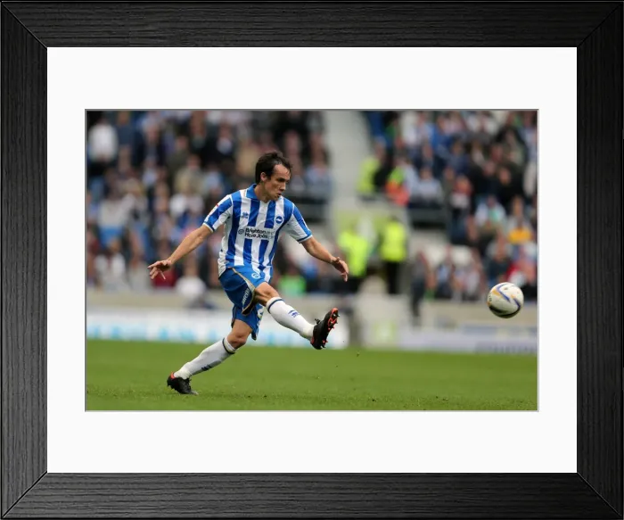 Framed Print : Brighton & Hove Albion vs. Middlesbrough: 2012-13 Home Game Framed Print : Brighton & Hove Albion vs. Middlesbrough: 2012-13 Home Game