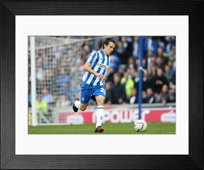 Framed Print : Brighton & Hove Albion vs. Middlesbrough: 2012-13 Home Game Framed Print : Brighton & Hove Albion vs. Middlesbrough: 2012-13 Home Game