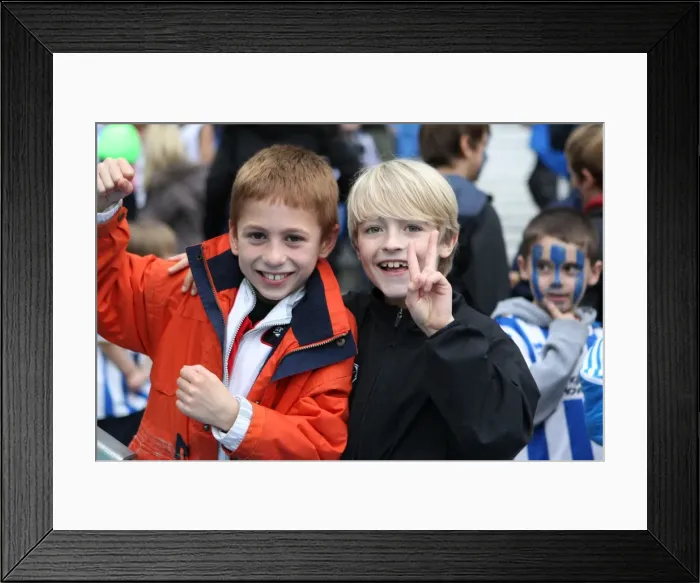 Framed Print : Brighton & Hove Albion FC: Electric Atmosphere - Crowd Shots from The Amex (2012-2013)