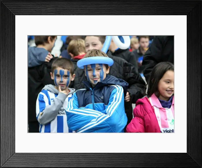 Framed Print : Brighton and Hove Albion: The Electric Amex Stadium Crowd (2012-2013) Framed Print : Brighton and Hove Albion: The Electric Amex Stadium Crowd (2012-2013)