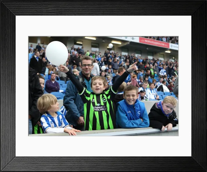 Framed Print : Brighton and Hove Albion: The Amex Stadium Crowd, 2012-2013 Framed Print : Brighton and Hove Albion: The Amex Stadium Crowd, 2012-2013