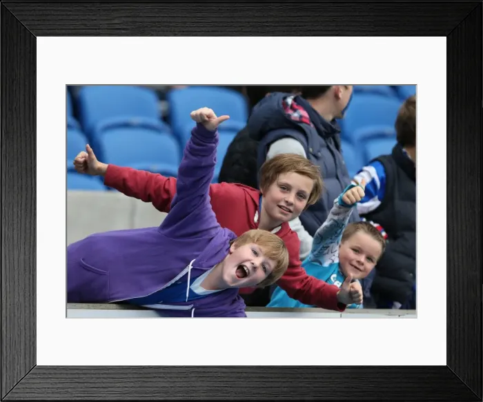 Framed Print : Brighton & Hove Albion FC: Electric Atmosphere - The Amex Stadium Crowd Shots (2012-2013) Framed Print : Brighton & Hove Albion FC: Electric Atmosphere - The Amex Stadium Crowd Shots (2012-2013)