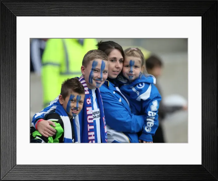 Framed Print : Brighton & Hove Albion FC: Electric Atmosphere - Crowd Shots at The Amex (2012-2013)