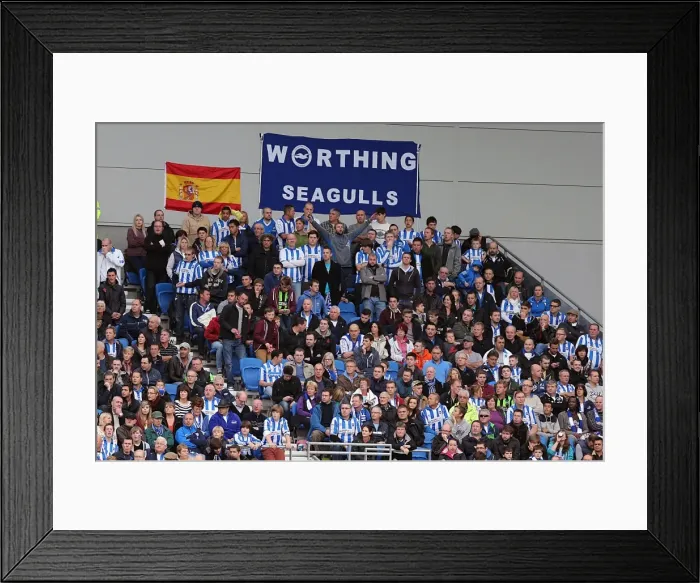 Framed Print : Brighton & Hove Albion vs. Middlesbrough: 2012-13 Home Game Framed Print : Brighton & Hove Albion vs. Middlesbrough: 2012-13 Home Game