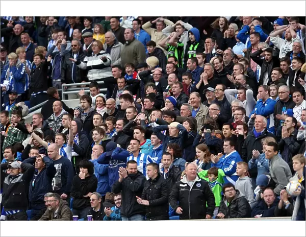 Brighton & Hove Albion vs. Middlesbrough: Home Game - October 20, 2012