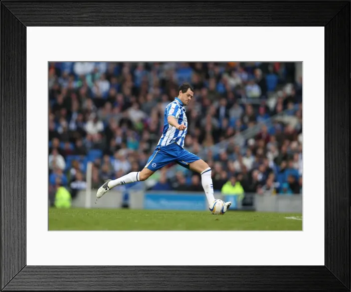 Framed Print : Brighton & Hove Albion vs. Middlesbrough: 2012-13 Home Game Framed Print : Brighton & Hove Albion vs. Middlesbrough: 2012-13 Home Game