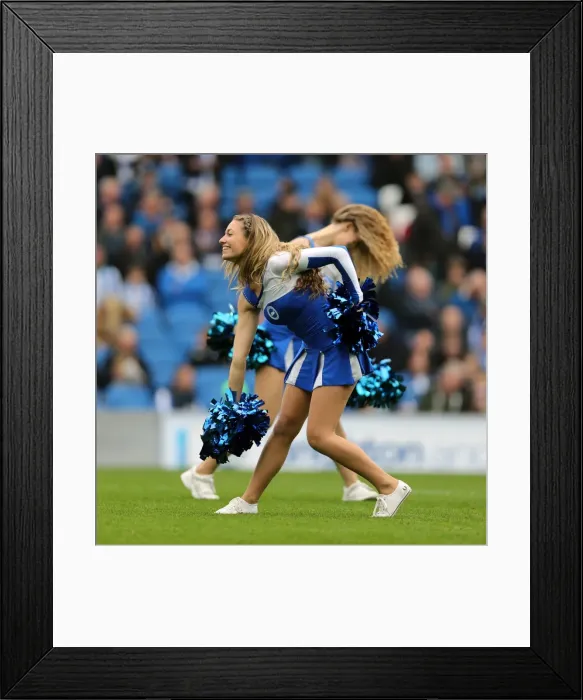 Framed Print : Brighton & Hove Albion vs. Middlesbrough: 2012-13 Home Game Framed Print : Brighton & Hove Albion vs. Middlesbrough: 2012-13 Home Game