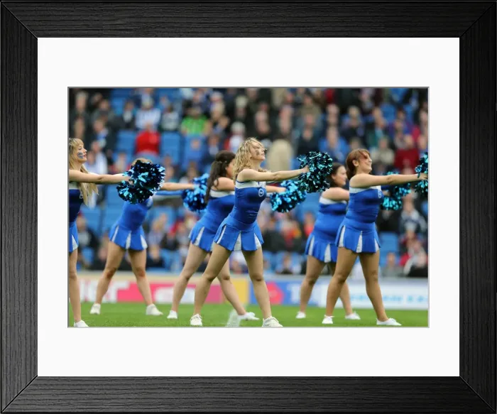 Framed Print : Brighton & Hove Albion vs. Middlesbrough: 2012-13 Home Game Framed Print : Brighton & Hove Albion vs. Middlesbrough: 2012-13 Home Game