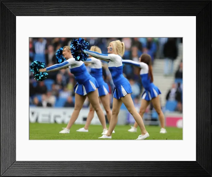 Framed Print : Brighton & Hove Albion vs. Middlesbrough: 2012-13 Home Game Framed Print : Brighton & Hove Albion vs. Middlesbrough: 2012-13 Home Game