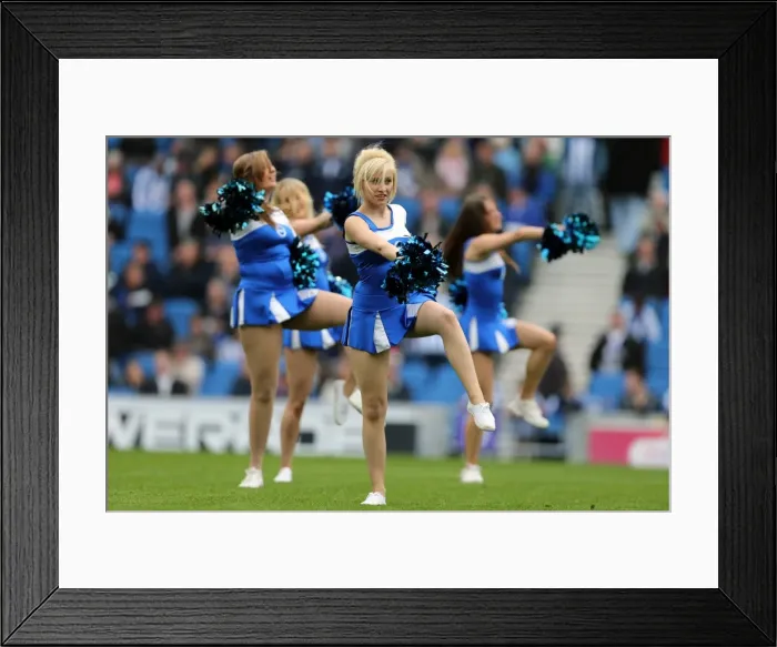 Framed Print : Brighton & Hove Albion 2012-13: Home Game vs. Middlesbrough (October 2012) Framed Print : Brighton & Hove Albion 2012-13: Home Game vs. Middlesbrough (October 2012)