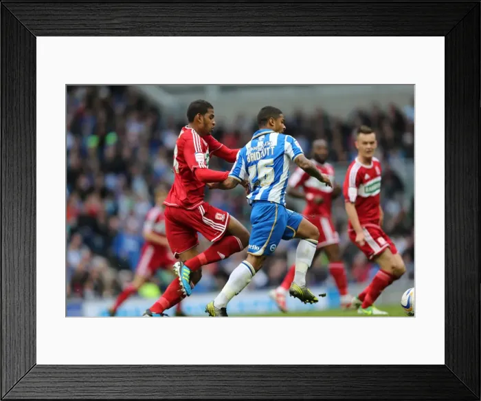 Framed Print : Brighton & Hove Albion vs. Middlesbrough: 2012-13 Home Game Framed Print : Brighton & Hove Albion vs. Middlesbrough: 2012-13 Home Game