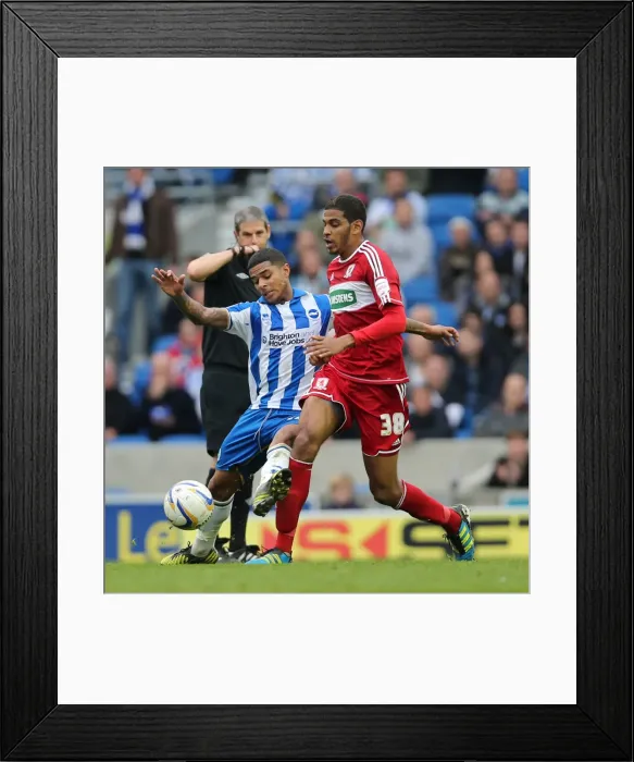 Framed Print : Brighton & Hove Albion vs. Middlesbrough: 2012-13 Home Game Framed Print : Brighton & Hove Albion vs. Middlesbrough: 2012-13 Home Game