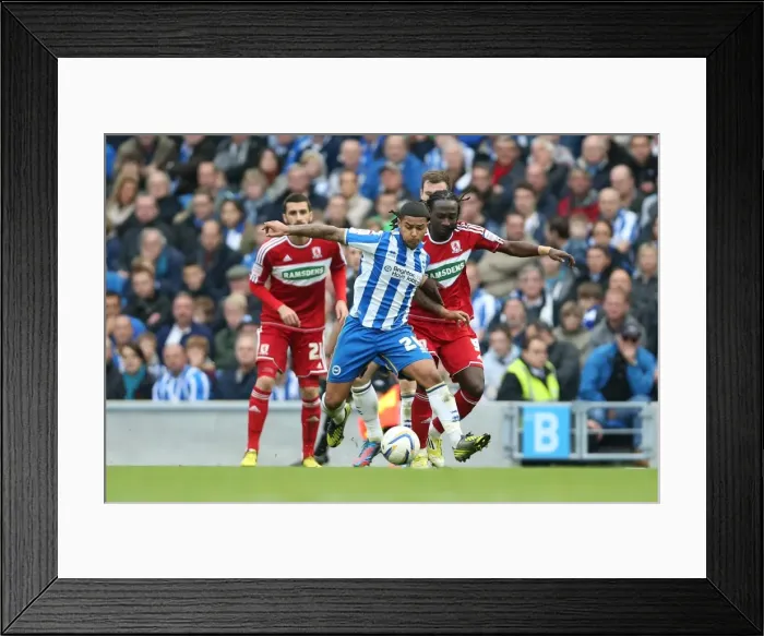 Framed Print : Brighton & Hove Albion vs. Middlesbrough: 2012-13 Home Game Framed Print : Brighton & Hove Albion vs. Middlesbrough: 2012-13 Home Game