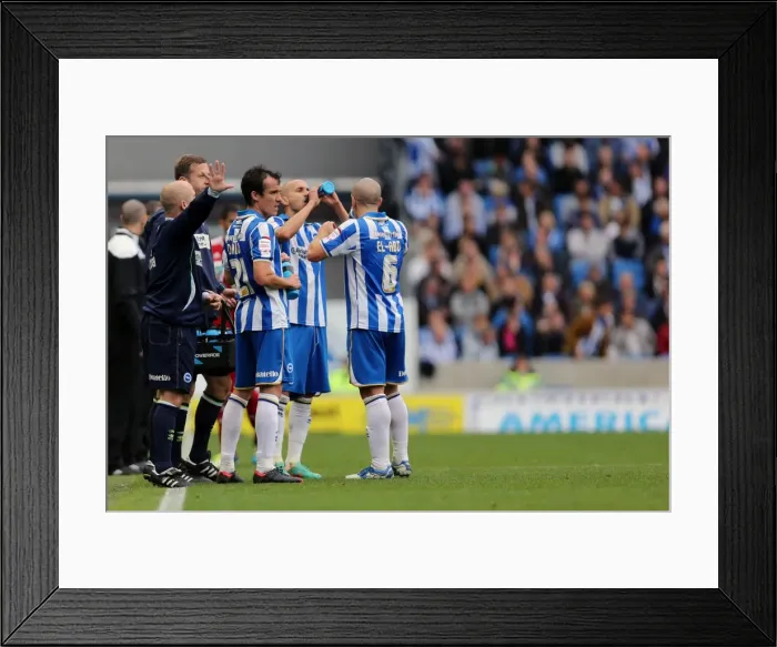 Framed Print : Brighton & Hove Albion: Re-Living the Thrill - Home Game vs. Middlesbrough (October 20, 2012) Framed Print : Brighton & Hove Albion: Re-Living the Thrill - Home Game vs. Middlesbrough (October 20, 2012)