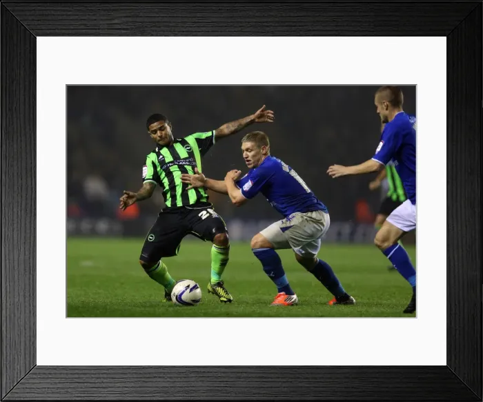 Framed Print : Brighton's Bridcutt in Action: Leicester Championship Clash (October 2012) Framed Print : Brighton's Bridcutt in Action: Leicester Championship Clash (October 2012)