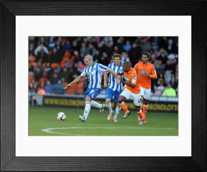 Framed Print : Brighton & Hove Albion's Adam El-Abd in Action Against Blackpool, Championship Clash, October 27, 2012 Framed Print : Brighton & Hove Albion's Adam El-Abd in Action Against Blackpool, Championship Clash, October 27, 2012