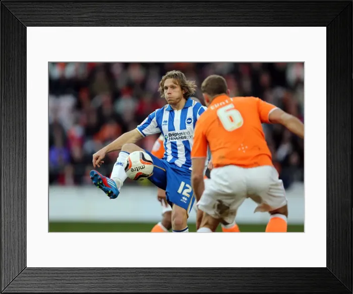 Framed Print : Craig Mackail-Smith in Action: Brighton & Hove Albion vs. Blackpool, Npower Championship 2012 Framed Print : Craig Mackail-Smith in Action: Brighton & Hove Albion vs. Blackpool, Npower Championship 2012