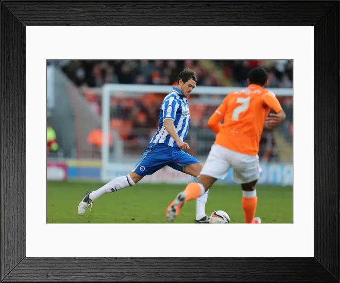 Framed Print : Gordon Greer of Brighton & Hove Albion in Action Against Blackpool, Npower Championship, October 27, 2012 Framed Print : Gordon Greer of Brighton & Hove Albion in Action Against Blackpool, Npower Championship, October 27, 2012