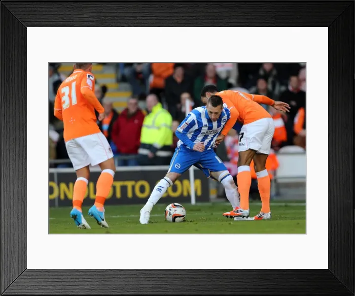 Framed Print : Stephen Dobbie in Action: Blackpool vs. Brighton & Hove Albion, Npower Championship, October 27, 2012 Framed Print : Stephen Dobbie in Action: Blackpool vs. Brighton & Hove Albion, Npower Championship, October 27, 2012