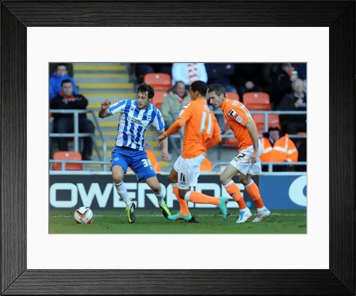 Framed Print : Brighton's Will Buckley Faces Off Against Blackpool in Npower Championship Match, October 27, 2012 Framed Print : Brighton's Will Buckley Faces Off Against Blackpool in Npower Championship Match, October 27, 2012