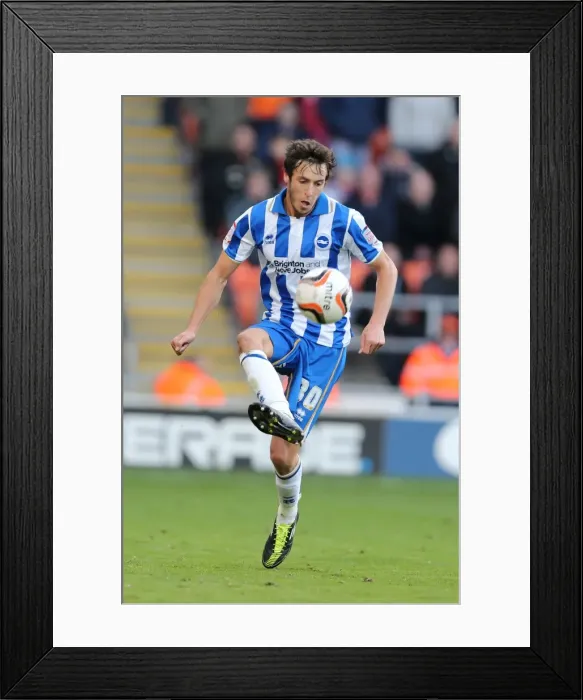 Framed Print : Brighton's Will Buckley Goes Head-to-Head with Blackpool in Npower Championship Showdown (October 27, 2012) Framed Print : Brighton's Will Buckley Goes Head-to-Head with Blackpool in Npower Championship Showdown (October 27, 2012)