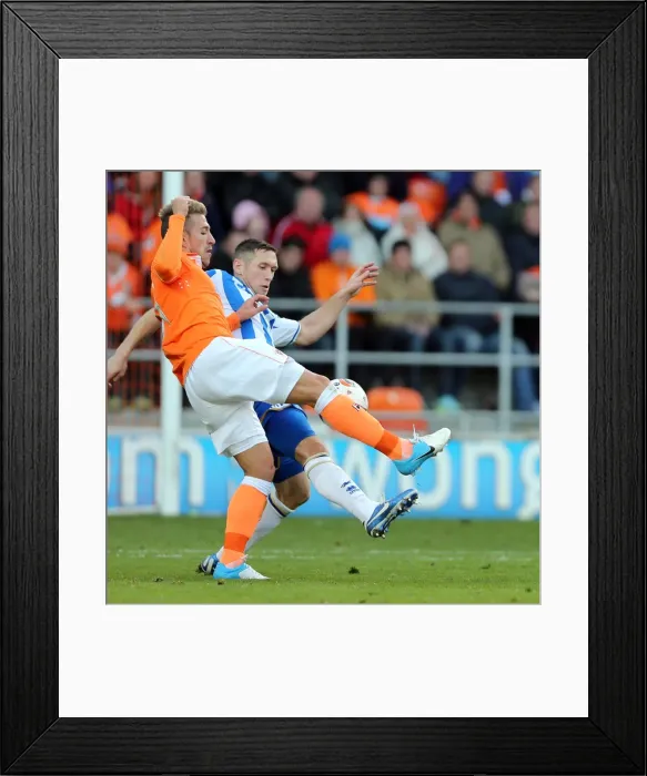 Framed Print : Brighton & Hove Albion vs. Blackpool: 2012-13 Season Away Game Framed Print : Brighton & Hove Albion vs. Blackpool: 2012-13 Season Away Game