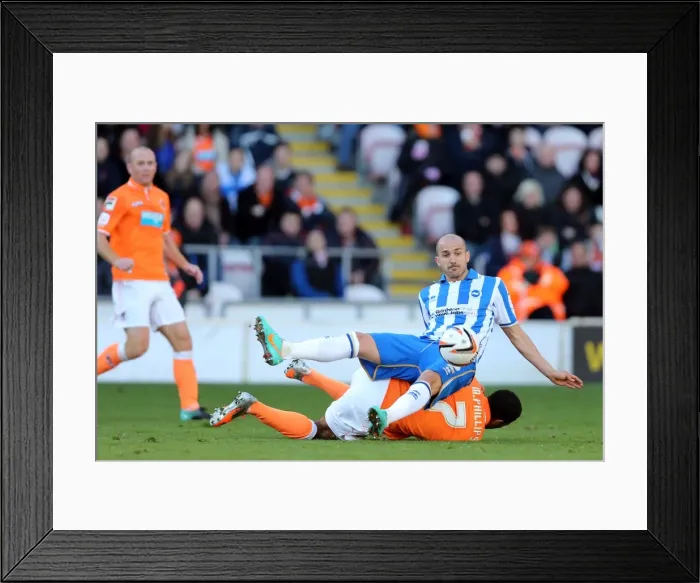 Framed Print : Brighton & Hove Albion Away at Blackpool - 27-10-2012 Framed Print : Brighton & Hove Albion Away at Blackpool - 27-10-2012
