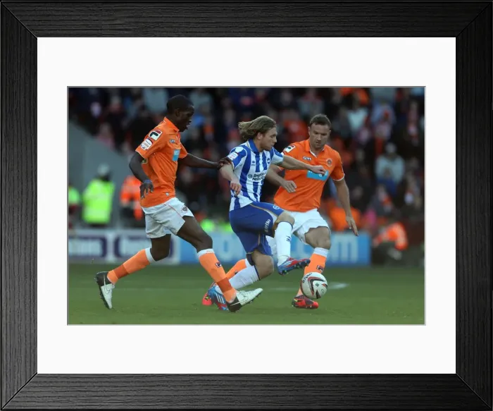Framed Print : Brighton & Hove Albion at Blackpool (2012-13 Season): Game Highlights Framed Print : Brighton & Hove Albion at Blackpool (2012-13 Season): Game Highlights