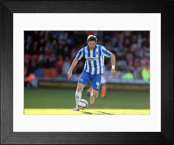 Framed Print : Brighton & Hove Albion at Blackpool - October 27, 2012 (Away Game, Season 2012-13) Framed Print : Brighton & Hove Albion at Blackpool - October 27, 2012 (Away Game, Season 2012-13)