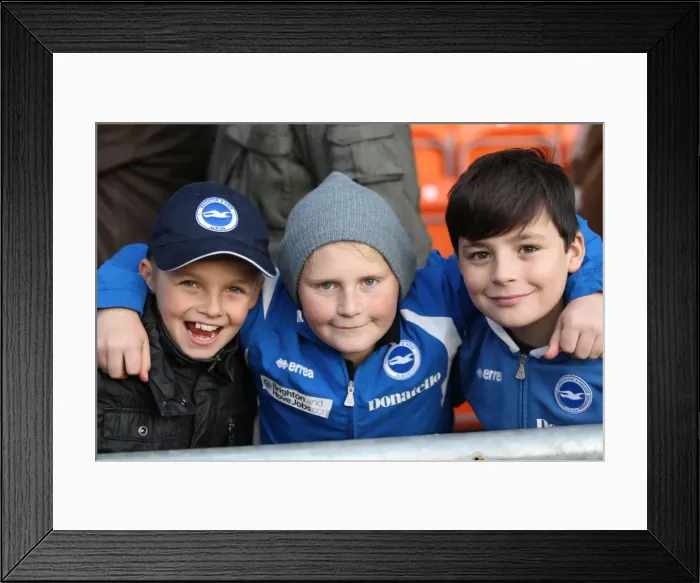 Framed Print : Sea of Supporters: Brighton & Hove Albion Away Games 2012-13 Framed Print : Sea of Supporters: Brighton & Hove Albion Away Games 2012-13