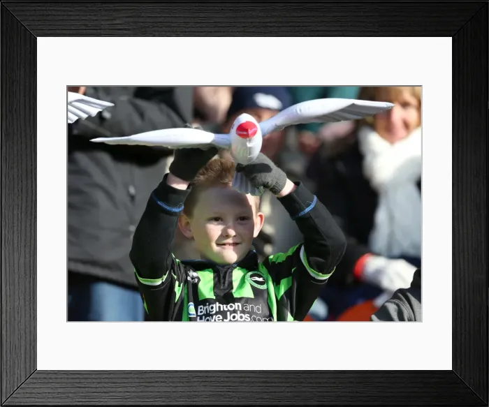 Framed Print : Sea of Seagulls: Brighton and Hove Albion Away Days 2012-13 Framed Print : Sea of Seagulls: Brighton and Hove Albion Away Days 2012-13