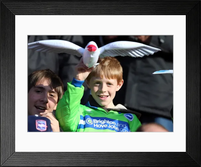 Framed Print : Brighton And Hove Albion Crowd Shots: Crowd Shots Away Days 2012-13