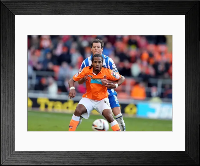 Framed Print : Brighton & Hove Albion Away at Blackpool (2012-13 Season): Game Highlights (Blackpool, 27-10-2012) Framed Print : Brighton & Hove Albion Away at Blackpool (2012-13 Season): Game Highlights (Blackpool, 27-10-2012)
